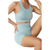 Astoria CONTOUR Ribbed Seamless Sports Crop - Seafoam