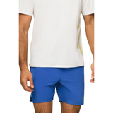 GLDN PNT Performance Stretch Woven Shorts | Dazzling Blue