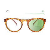 Reks Tortoise Round Prescription Transitions® Colors