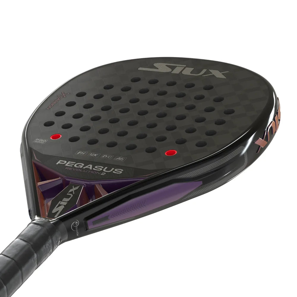 Siux Pegasus Revolution 2