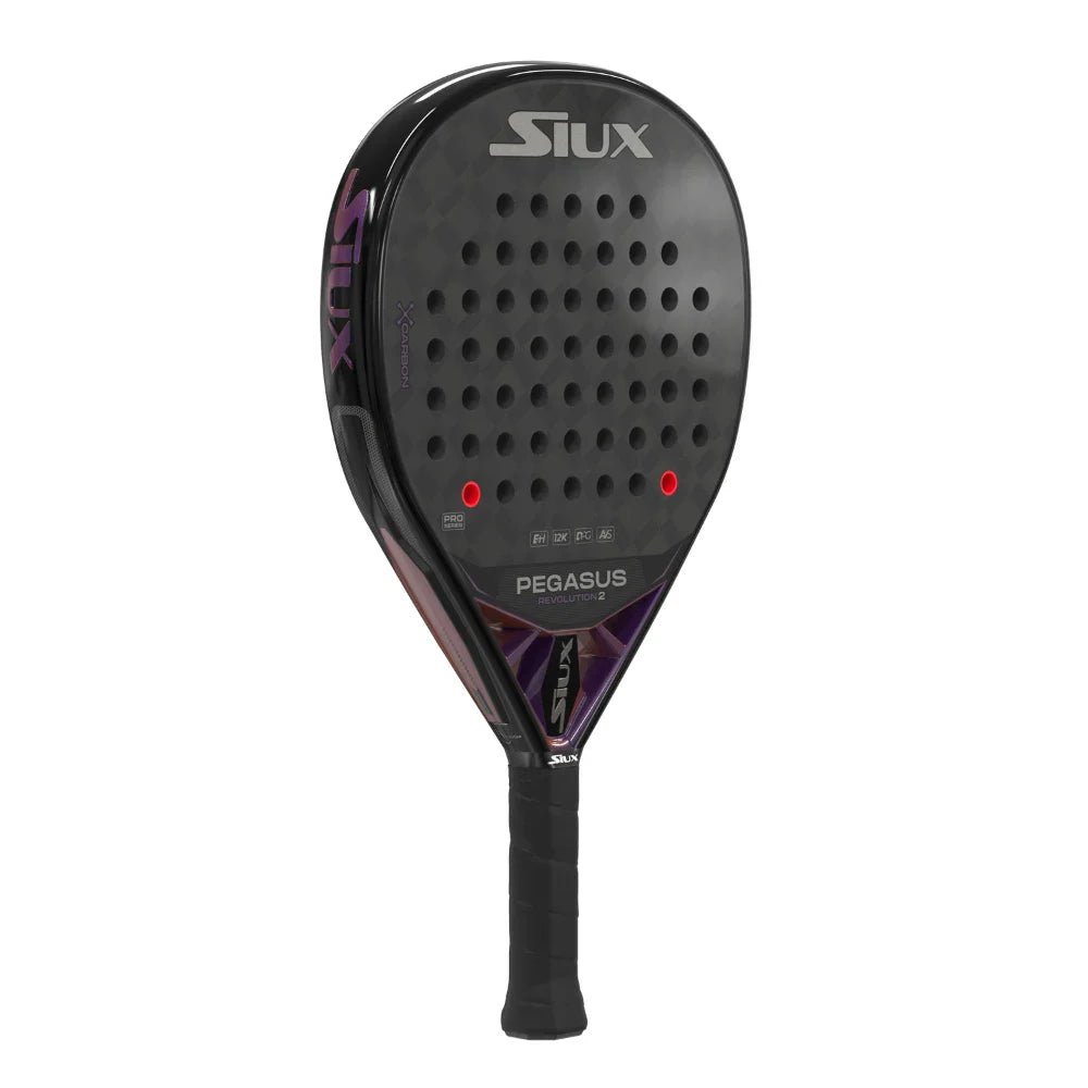 Siux Pegasus Revolution 2