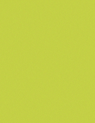 Banner móvil quiz profile rackets