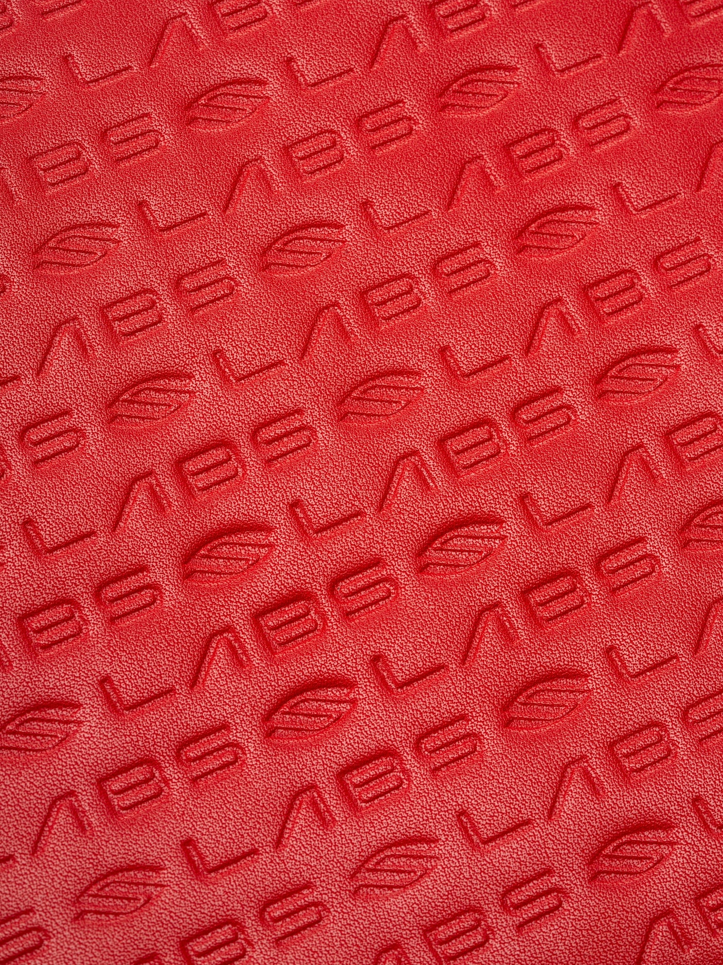 Selkirk Pickleball Paddle Cover | LABS Paddle Collectors Case